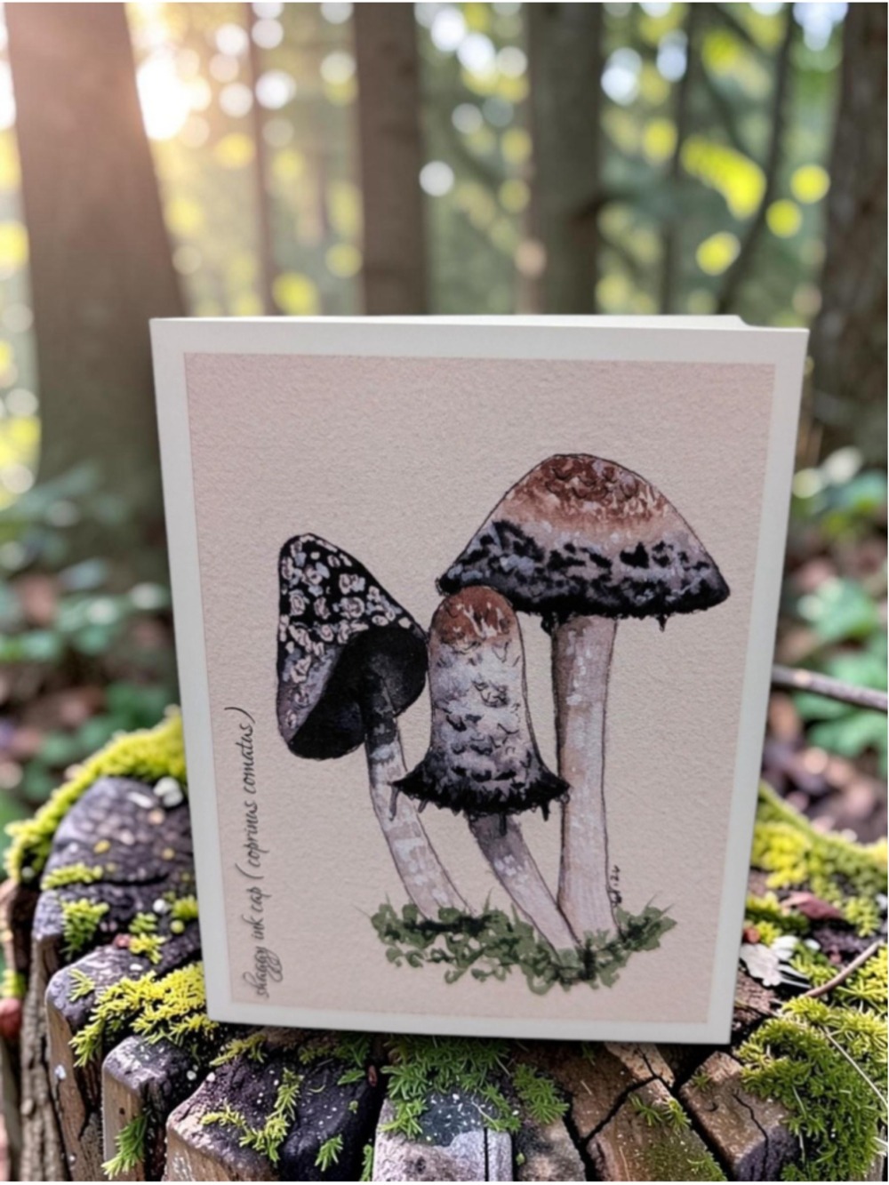 12 Watercolor Notecards Mushroom Series 4.25 x 5.5 - Picture 4 of 8